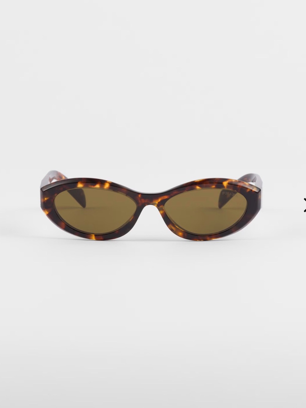 Prada Symbole Sunglasses in Honey Torteishelle